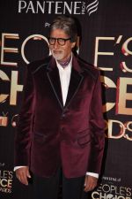 Amitabh Bachchan at People_s Choice Awards in Mumbai on 27th Oct 2012 (175).JPG